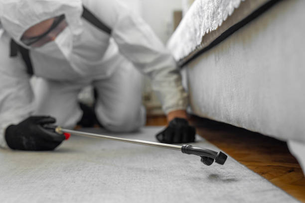 Professional Cockroach Control technician working in Newaygo, MI