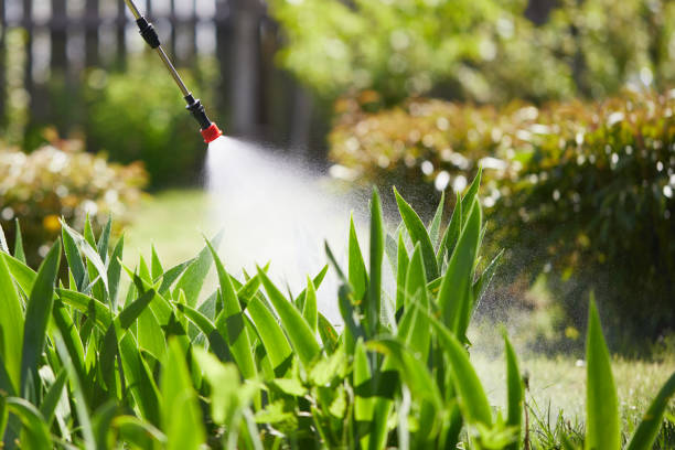 24/7 Emergency Cockroach Control experts in Newaygo, MI