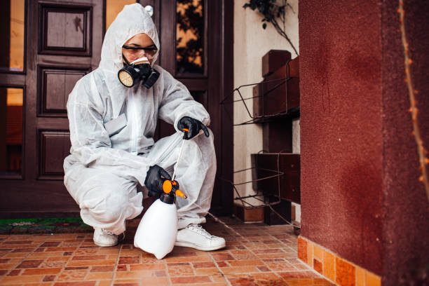 Reliable Cockroach Control contractor in Newaygo, MI by Nex Pest Control