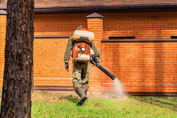 Top rated local Cockroach Control specialists in Newaygo, MI